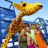 LEGOLAND Florida attraction information