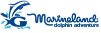 Marineland Dolphin Adventure attraction photo