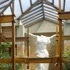 Martin House Complex attraction information