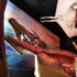 Corpus Christi Museum of Science & History attraction information