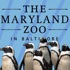 The Maryland Zoo in Baltimore attraction information