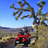 Desert Adventures Eco-Tours & Events attraction information