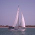 Harrison's Landing attraction information
