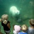 Columbus Zoo and Aquarium attraction information